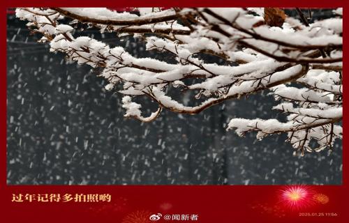 通过引进先进的生产技术和优化人力资源配置公司不仅提高了生产效率还为员工提供了更多的成长机会和职业发展