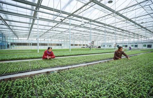 特朗普政策变动中国跨境电商如何应对
